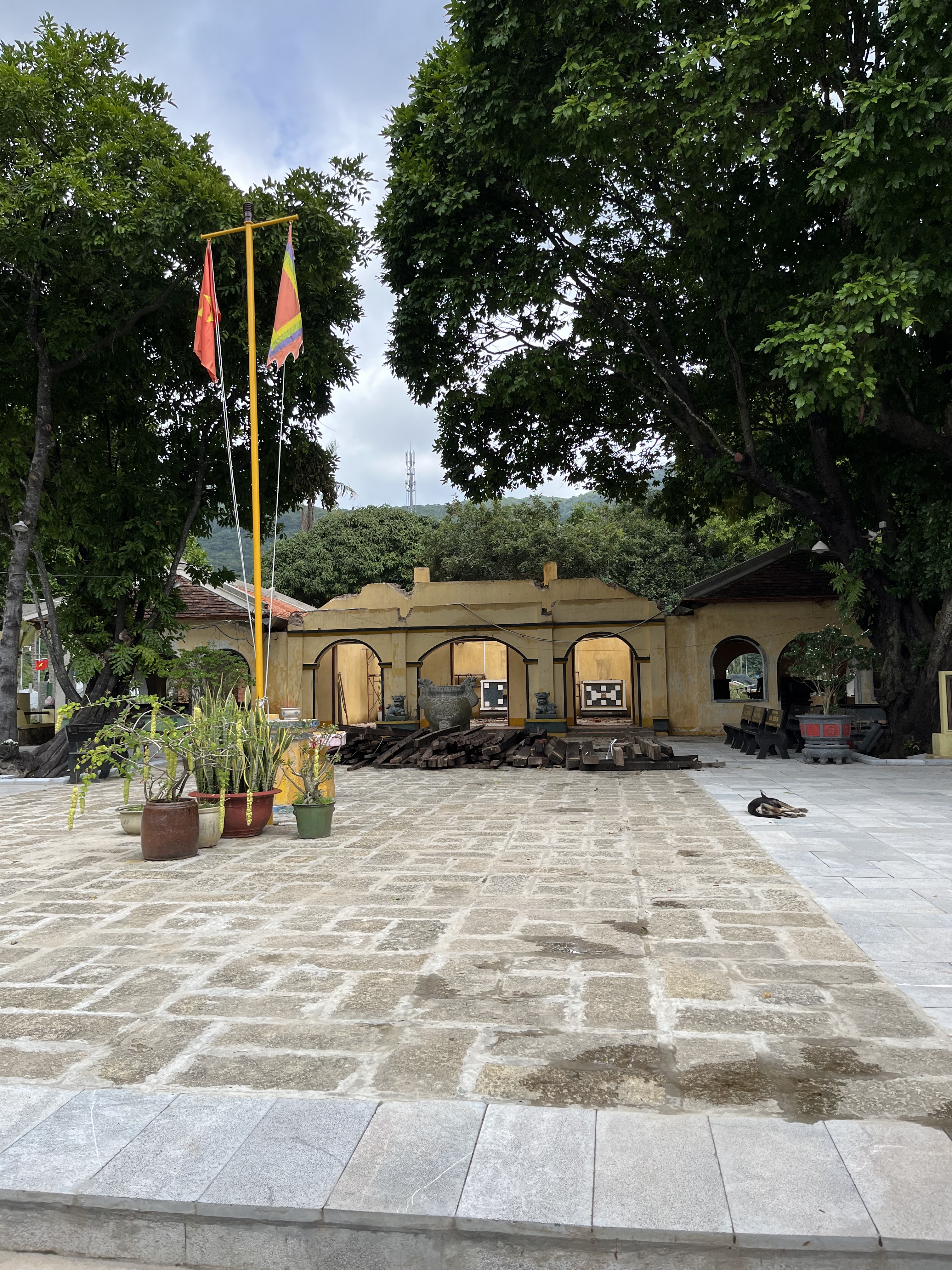 20230814_032942398_iOS